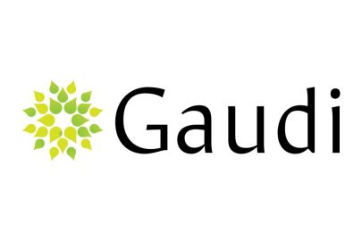«Gaudi» в КМИ «Республика»